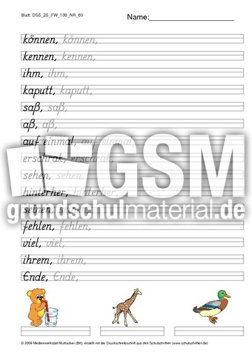 DSS_2S_FW_100_NR_60.pdf